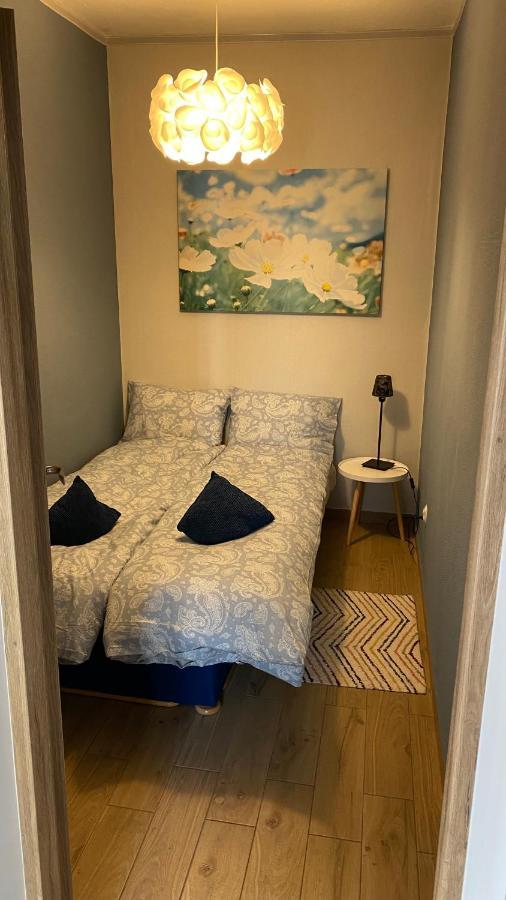 Apartament Niebieski Duszniki Zdrój Extérieur photo